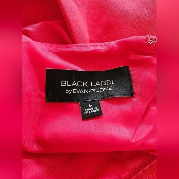 Black Label by Evan-Picone Reddish Pink Shift Sleeveless Dress-Size 6 - Picture 8 of 8